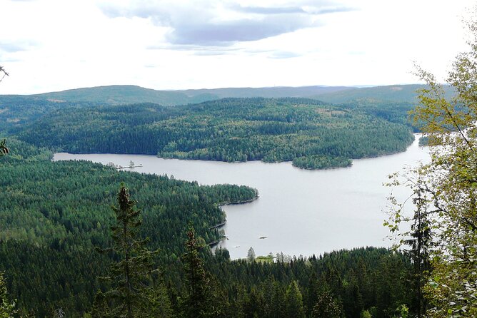 Oslo Nature walks: Forest to Fjord - Stop 3: Sognsvann Lake, Swim If Summer Lets You
