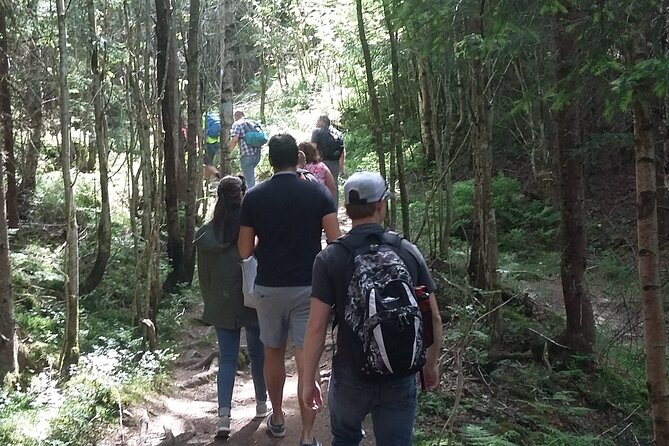 Oslo Nature walks: Forest to Fjord - Stop 4: Nordmarka Walk Time With Lakes, Berries, And Moose