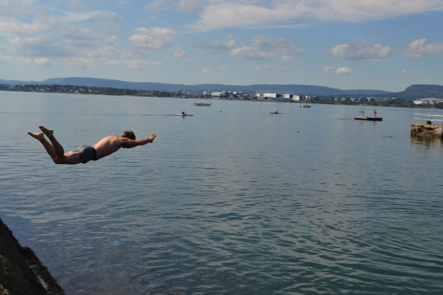 Oslo Nature Walks: Island Hopping Tour - Who this Oslo Nature Walks island-hopping tour suits best