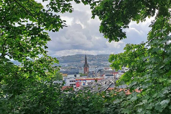 Oslo: Norwegian Food Tour & Hidden Gems City Walk - Walking logistics: distance, elevation, and how to stay comfortable