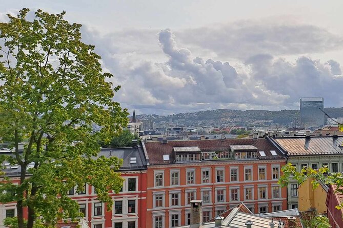 Oslo: Norwegian Food Tour & Hidden Gems City Walk - Meeting at Oslo Central, then getting your bearings fast