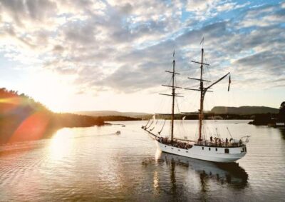 Oslofjord Fjord-Style Dinner Cruise