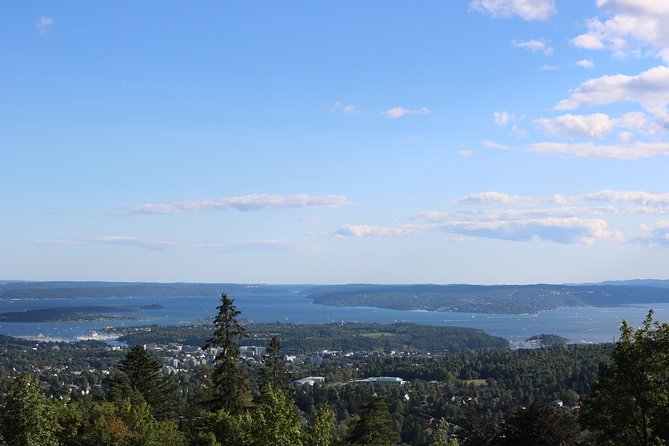 Oslo Panorama Tour with Holmenkollen Ski Jump and Vigeland Park - How the timing flows: Vigeland first, Holmenkollen second, then city views