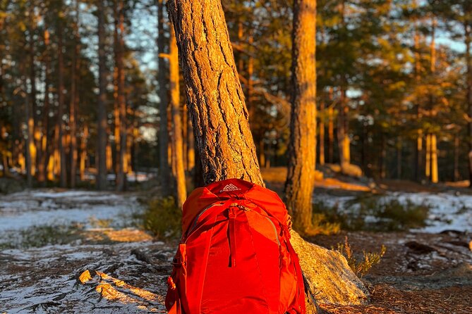 Oslo: Panoramic Fjord Hike Lead by a Local Guide and Dog - Campfire Christmas lunch: warm food after cold air