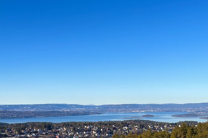 Oslo: Panoramic Fjord Hike Lead by a Local Guide and Dog - Who this Oslo winter hike fits best