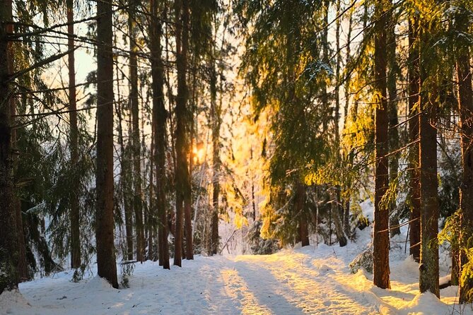 Oslo: Panoramic Fjord Hike Lead by a Local Guide and Dog - Trail pacing and the fire-tower payoff