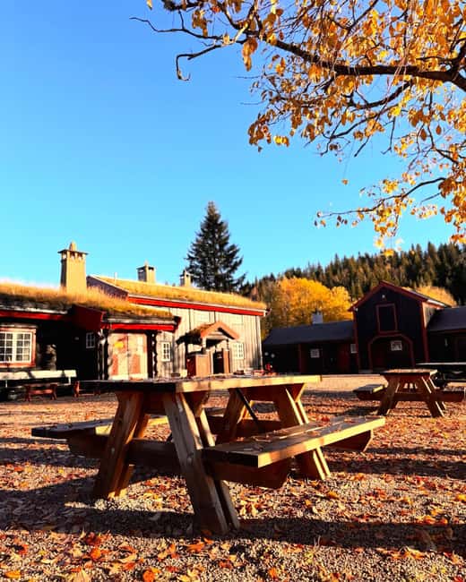 Oslo’s Secret Forest Gastronomy: Private Chef & Local Feast - Regional food tasting near the forest, not at a restaurant