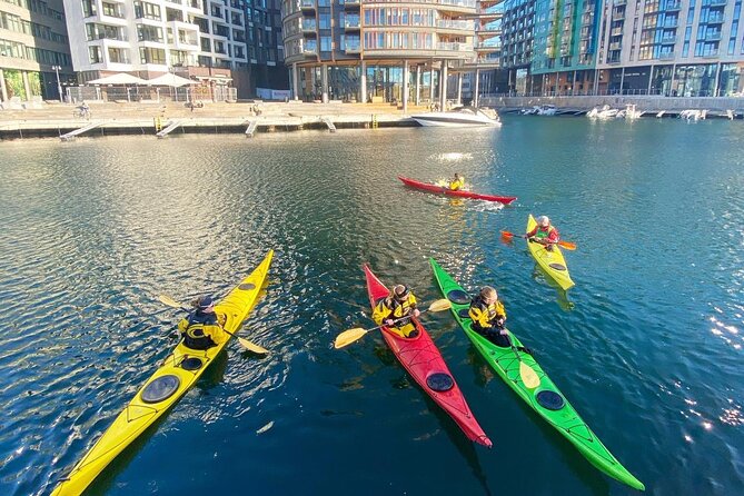 Oslo Sea Kayak Tour: Explore The Incredible Oslofjord - The kayak lesson: what you will learn before you go