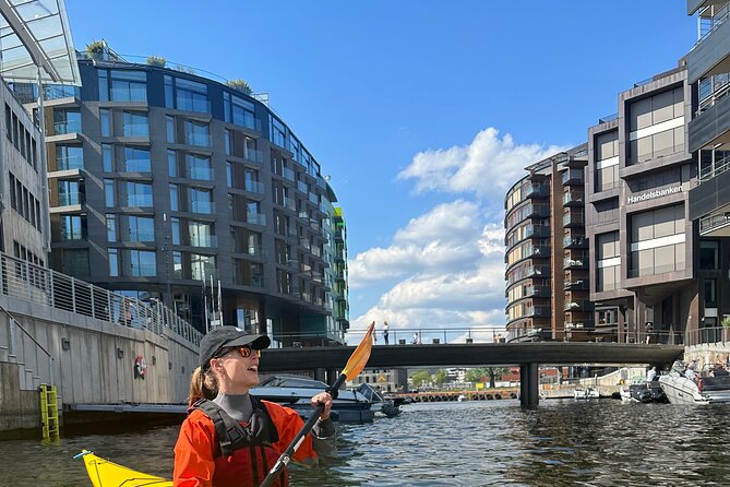 Oslo Sea Kayak Tour: Explore The Incredible Oslofjord - Value check: $117.86 for 2 hours on the fjord