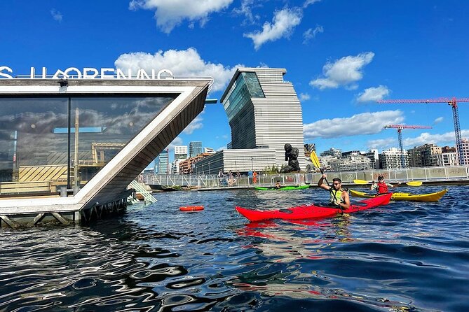 Oslo Sea Kayak Tour: Explore The Incredible Oslofjord - Who should book this, and who might choose a different style of day
