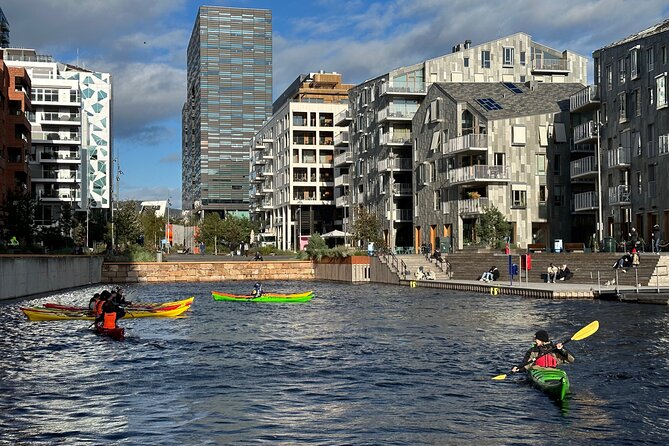 Oslo Sea Kayak Tour: Explore The Incredible Oslofjord - Should you book the Oslo Sea Kayak Tour for your trip?