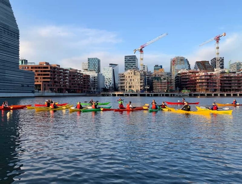 Oslo Sea Kayak Tour “Fjord City” - Fitness, swimming, and back issues: who should consider skipping