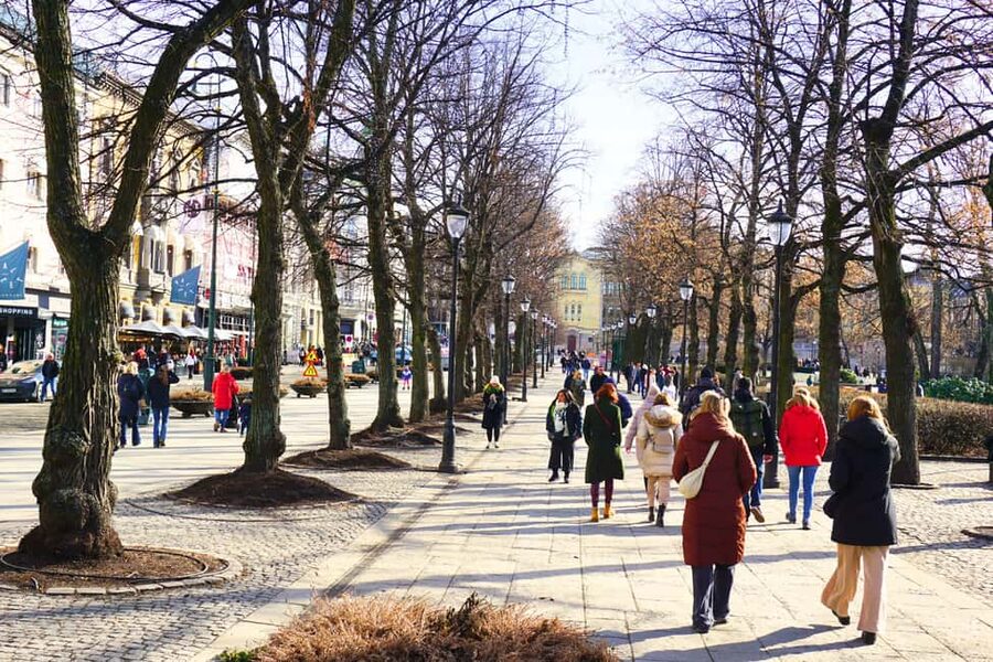 Oslo: Small Group History, Art & Secrets Tour - Timing, small-group size, and what the 3 hours really feel like