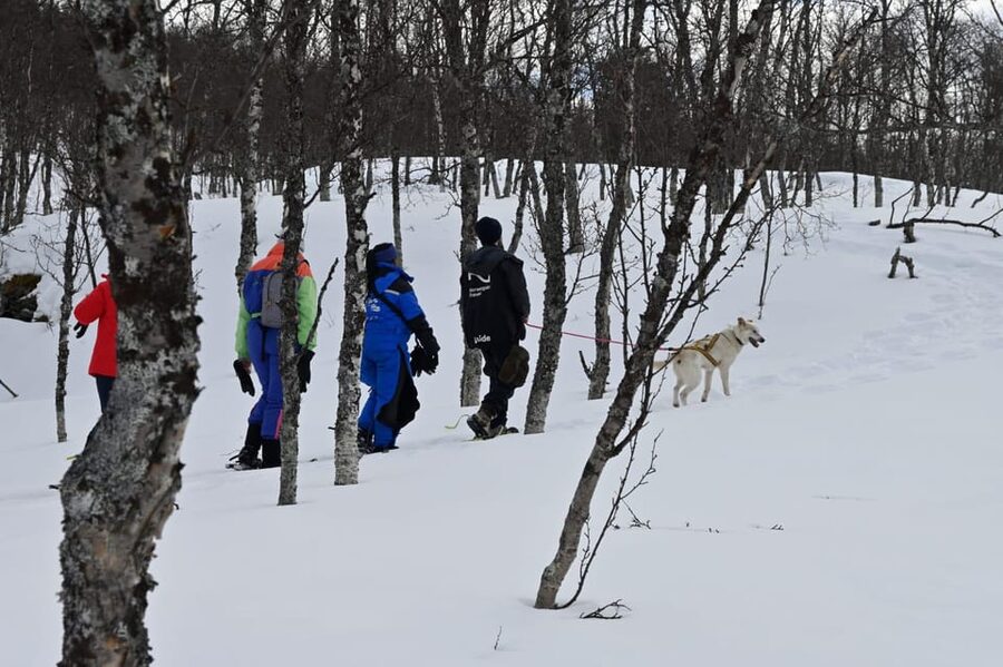 Oslo: Snowshoeing in the Forest with Norwegian BBQ - Frognerseteren: the easiest launch point for Oslo winter woods