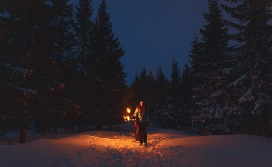 Oslo: Snowy Forest Torchlight Walk with Campfire - Frozen Øvresetertjern Lake Campfire Stop: Norwegian Hygge, Done Simple