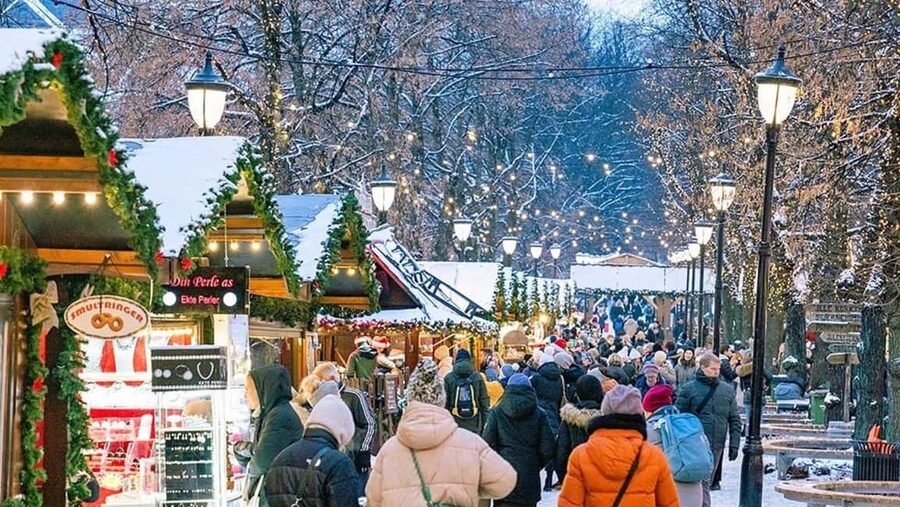 Oslo: The Grand Experience Walking Tour with Lunch or Dinner - Price and what $194 buys you in 4 hours