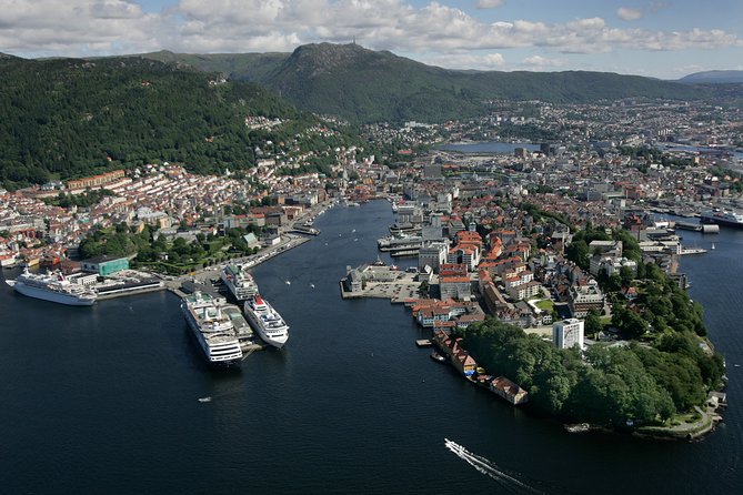 Oslo To Bergen Self-Guided Full Day Trip with Flåm Railway And Fjord Cruise - Price and Value: What $454.91 Buys You in Scenic Transport