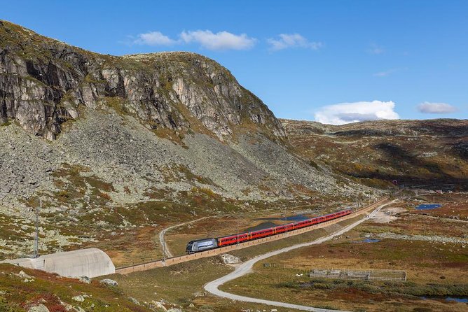 Oslo To Bergen Self-Guided Full Day Trip with Flåm Railway And Fjord Cruise - The Flåm Railway: Myrdal to Flåm by Engineering and Views