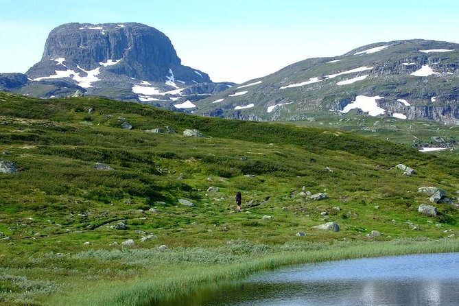 Oslo To Sognefjord Private Full Day Roundtrip Including Flam Railway - Myrdal and Geilo: the mountain-town pivot that shapes the return