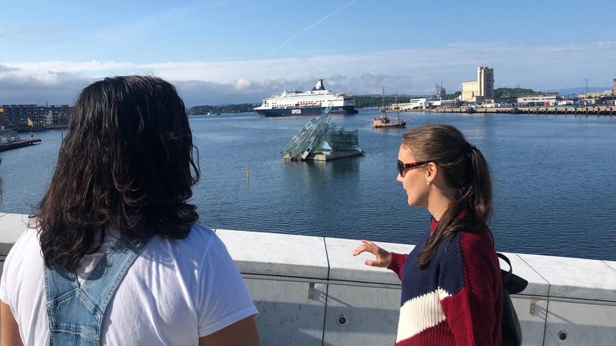 Oslo Unveiled: Private Walking Tour - Karl Johans gate and the Royal Palace area: the center you start from