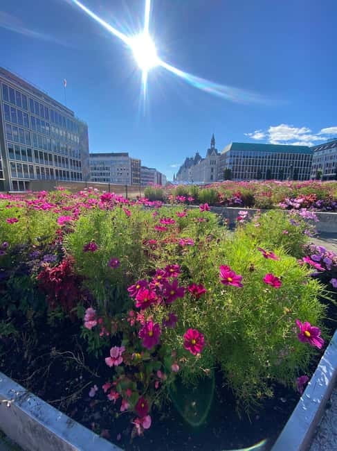 Oslo Walk:Private Walking Tour–City Highlights & Hidden Gems - Key things to know before your Oslo walk