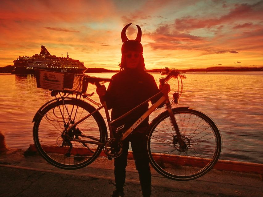 Oslo: Winter Highlights 3-Hour Bike Tour - Karl Johans Gate Christmas market: why this is the heart of the vibe