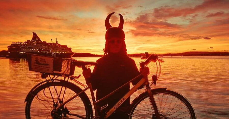 Oslo: Winter Highlights 3-Hour Bike Tour - Mathallen and Vippai indoor stops for a warmer ride