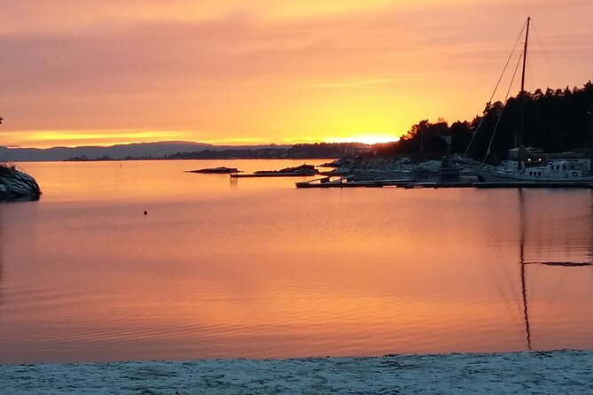 Oslo Winter Highlights Bike Tour - Seasonal atmosphere: Christmas markets and winter sights