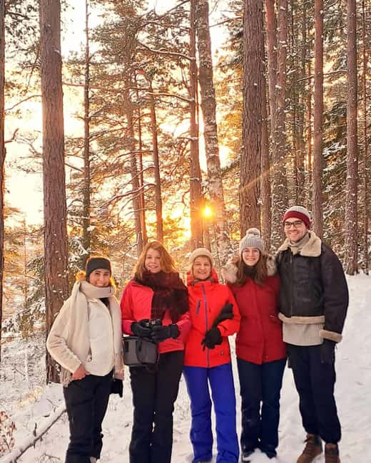 Oslo: Winter Wonderland Forest Hike and Campfire with a Dog - Key highlights at a glance
