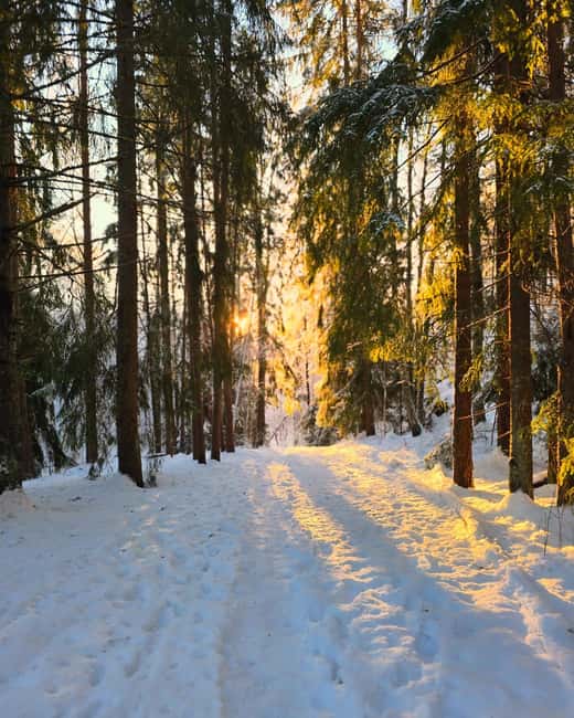 Oslo: Winter Wonderland Forest Hike and Campfire with a Dog - Should You Book This Oslo Winter Wonderland Forest Hike With a Campfire?