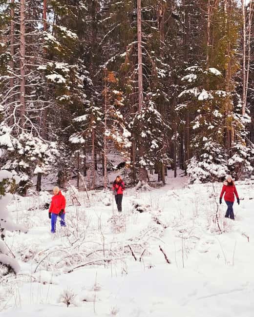 Oslo: Winter Wonderland Forest Hike and Campfire with a Dog - Who Should Book, and Who Should Skip This Oslo Winter Hike