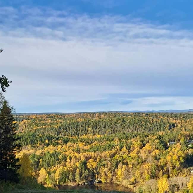 Oslo: Winter Wonderland Forest Hike and Campfire with a Dog - Meeting Ingunn and Nero: The Dog Factor That Changes Your Winter Mood