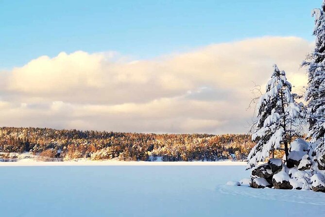 Oslo: Winter wonderland forest hike & campfire with a dog - Key Things You’ll Remember From This Oslo Winter Hike