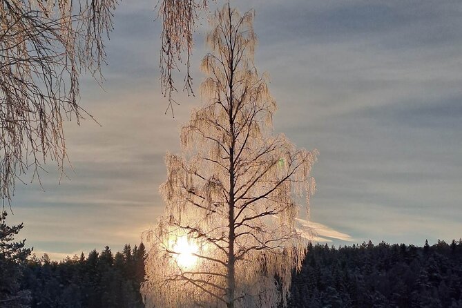 Oslo: Winter wonderland forest hike & campfire with a dog - Stop 2, Ingieråsen: The Big View That Makes the Climb Worth It