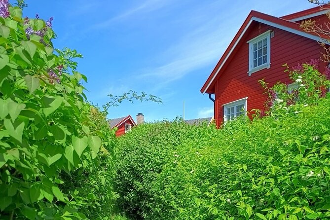 Oslofjord Island Hopping Tour - From Backstube by Oslo Central, you ride the trikk to Aker Brygge