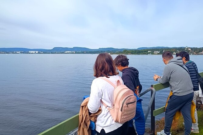 Oslofjord Island Hopping Tour - Nakholmen cabins: learning the fjord from a weekend culture angle