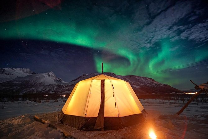 Overnight Stay with Reindeer Sledding & Feeding - Key Highlights You Should Know Before You Go