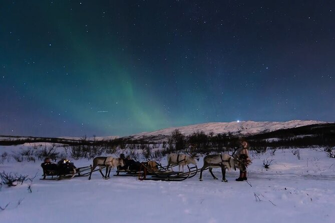 Overnight Stay with Reindeer Sledding & Feeding - From Tromsø Meeting Point to Kvaløya Camp