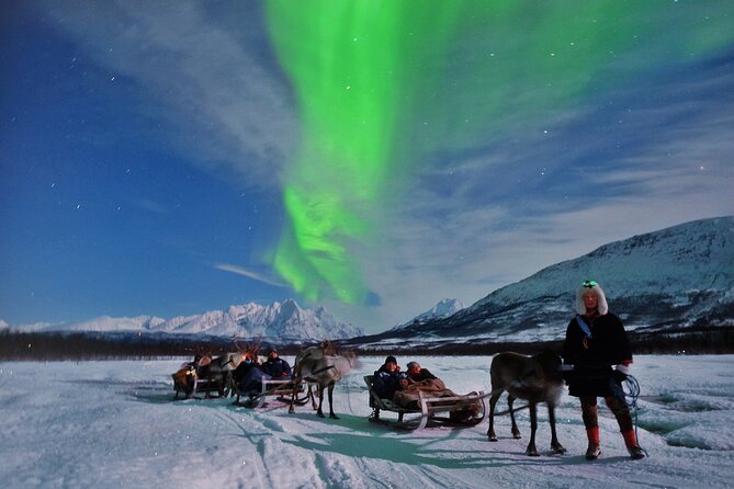 Overnight Stay with Reindeer Sledding & Feeding - Northern Lights Viewing: Best Odds, No Guarantees