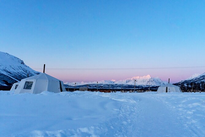 Overnight Stay with Reindeer Sledding & Feeding - Reindeer Sledding: Short Loop, Real Thrill