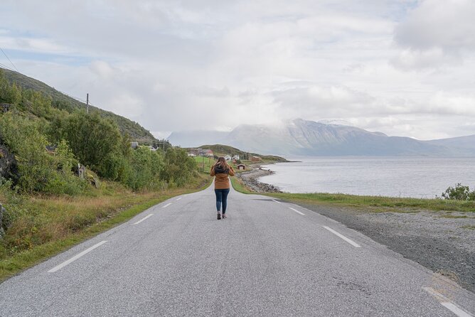 Private Arctic Fjord Roadtrip with Scenic Picnic from Tromso - Wildlife spotting when you are not forcing it