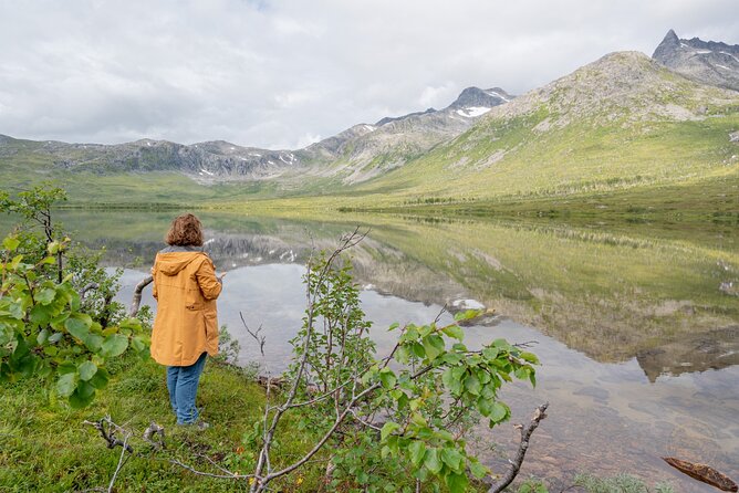 Private Arctic Fjord Roadtrip with Scenic Picnic from Tromso - Scenic picnic and warm drinks: a practical win in Arctic weather