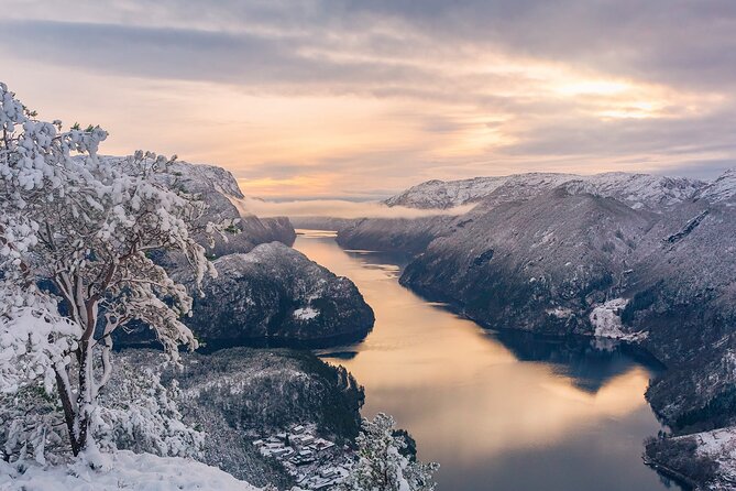 Private Cruise: Mostraumen by Zodiac or Lux Pontoon Boat - Fjord Solitude: Pontoon vs. Zodiac Changes the Whole Day