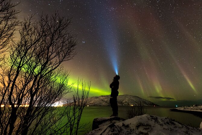 Private & Exclusive Northern Lights Tour with Professional guide - Stop 1: Tromsø, then your route shifts based on cloud cover