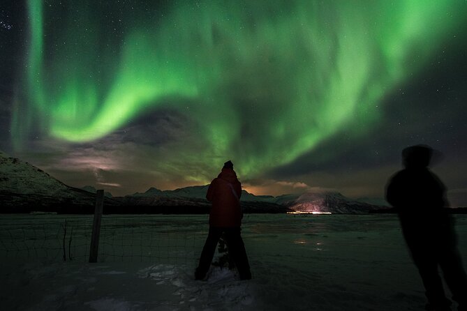 Private & Exclusive Northern Lights Tour with Professional guide - The guide’s role: more than driving, more than spotting