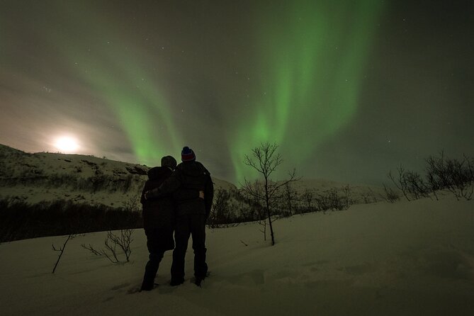 Private & Exclusive Northern Lights Tour with Professional guide - Pickup inside Tromsø and how the night gets planned