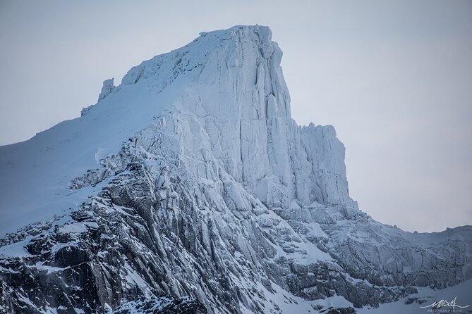 Private fjord tour with premium 4×4 vehicle - Wildlife and mountain views: how to maximize your five hours