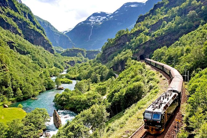 Private Full-Day Round Trip from Oslo to Sognefjord via Flåm Railway - Flåm railway time: the part people remember for years