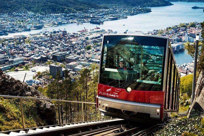 Private Guided City Sightseeing - Bergens Top Attractions - Entering Bergen with a private vehicle and a pro driver