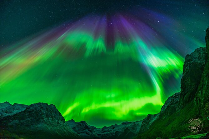 Private Northern Lights Chase with Photography from Tromsø - Why a Private Northern Lights Chase Beats Guesswork in Tromsø